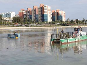 ‘Mavi Yengeç’ Boğaçayı’na indirildi