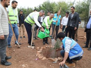 Eyyübiye’deki okullarda ağaçlandırma seferberliği başladı