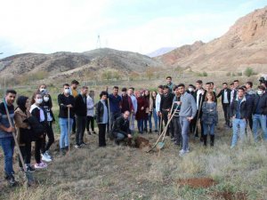 Bir fidan da sen dik