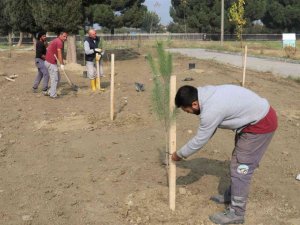 Turgutlu’da fidanlar toprakla buluşuyor
