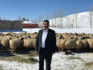 TÜDKİYEB Genel Başkanı Çelik: "Kış aylarına mahsus yem desteği artırılmalıdır"