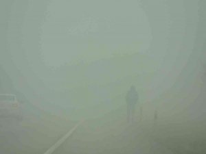 Sivas’ta yoğun sis etkili oldu