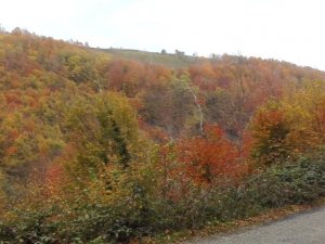 Ordu’da sonbahar güzelliği