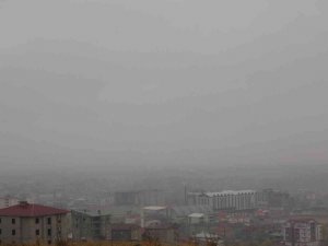 Yüksekova’da yoğun sis hayatı olumsuz etkiliyor