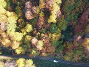 2 bin 80 rakımlı Genya dağında Sonbahar’da renk cümbüşü yaşanıyor