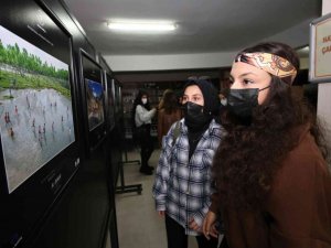 Ödüllü fotoğraflar sergilenmeye başladı