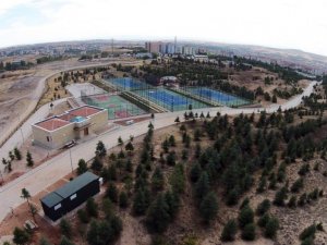 Belediye Başkanı Ekicioğlu: "Gerekli tadilatlar yapılırsa Tabiat Parkını almaya hazır"