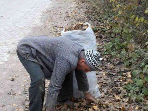 Gazeller toplanıyor