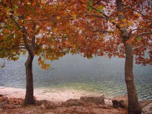 Fırat Nehri kıyısında sonbahar bir başka güzel