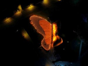 Tropikal Kelebek Bahçesi turuncu ışıklarla aydınlatıldı