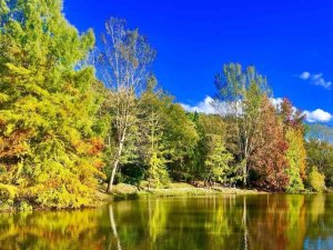 Bayburt’ta kartpostallık sonbahar!