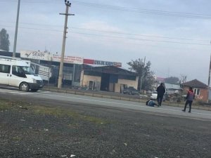 Köpeklerden kaçarken araç çarptı