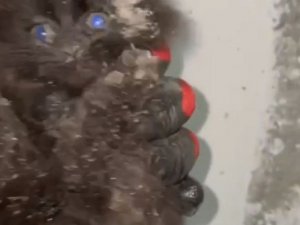 Kocaeli’de yürek ısıtan görüntü