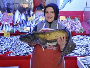 Balık pazarında tezgahlar doldu taştı