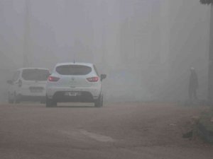 Bolu’da yoğun sis etkili oluyor