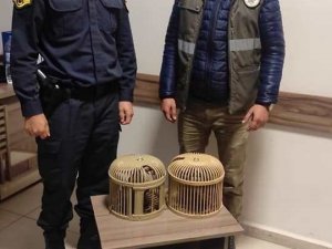 Van’da kafes avcılığı