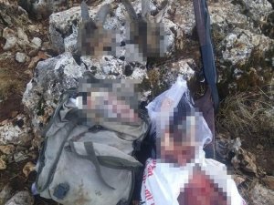 Mersin’de yaban keçisi avlayan kaçak avcıya 122 bin 224 lira ceza