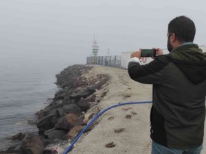 Sis nedeniyle Çanakkale Boğazı gemi trafiğine kapandı