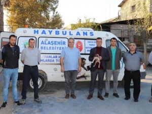 Alaşehir Belediyesinden sokak hayvanları için ’Haybulans’ hizmeti