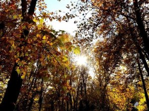 Doğu Anadolu’da sıcaklıklar 4 ila 6 derece arttı