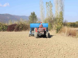 Konya Büyükşehir’den sarımsak yetiştiricisine makine desteği