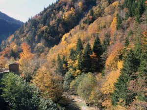 Mavi Göl’de sonbahar manzaraları