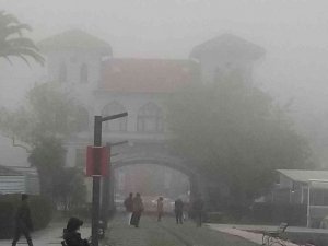 Yoğun sis Bandırma’da etkili oluyor