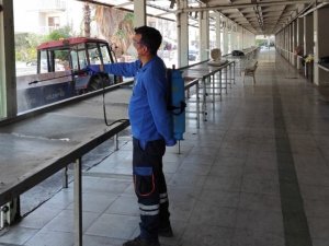 Muğla Büyükşehir Belediyesi karasinekle mücadele çalışmalarını hızlandırdı