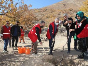 Kızılay Haftasında Ali Dağına yüzlerce meyve ağacı dikildi
