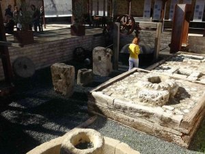 Zeytin ve Zeytinyağı Müzesi’ne ziyaretçi akını