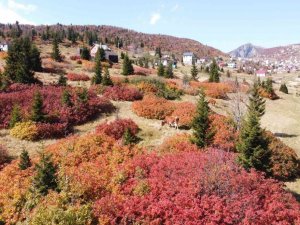Sis Dağı’ndan sonbahar manzaraları