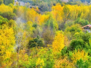 Malatya’da sonbahar ayrı güzel
