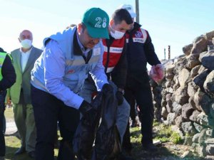 Giresun yaylalarında çöp toplandı