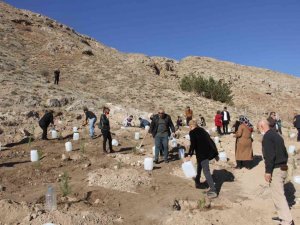Sosyal medyada toplanıp 9 bin fidanı toprakla buluşturdular