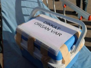 Organ nakli sayesinde 8 kişi hayata tutundu