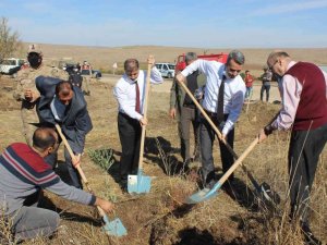 Kilis Adalet Orman’ına 500 zeytin fidanı dikildi