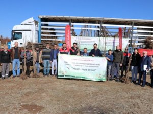 Mihalıççık’ta 7 bin 260 bodur kiraz fidanı toprakla buluştu