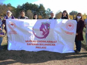 Muğlalı Safran üreticilerine Safranbolu gezisi