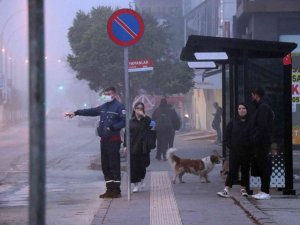 Sakarya güne sisle uyandı