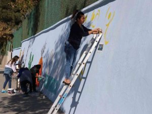 Siirt Belediyesi duvarları renklendiriyor