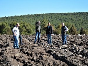 Müdür Kayıran: “Kütahya’da 48 bin 450 adet fidan toprakla buluşturulacak”