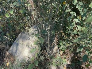 Karton toplayıcısı tarlada Osmanlı eserleri buldu