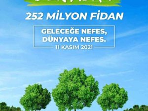Bingöl’de 70 dönüme 5 bin fidan dikilecek