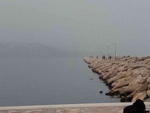 Bandırma sis altında