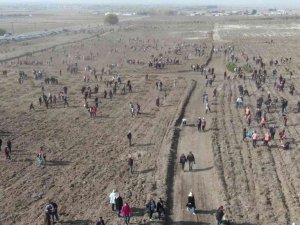 11 Kasım Ağaç Bayramı hazırlıkları tamamlanmak üzere