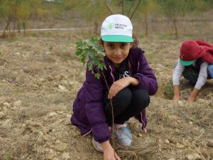 Aydın’da fidan dikim noktaları belli oldu