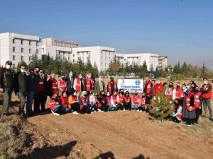 KMÜ’de Yunus Emre Hoşgörü Ormanı
