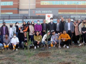 Fidan dikerek hayata iz bıraktılar