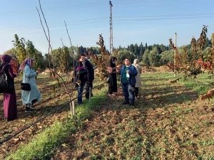 Aydınlı kadın çiftçilerden proje gezisi