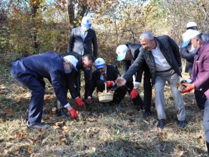 Vali ve protokol üyelerinden kestane hasadı